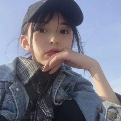 保卫萝卜阿波之旅内购破解版下载